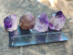 Polished Amethyst Window Crystals x 20 From Akansobe, Madagascar - Toprock Gemstones and Minerals 
