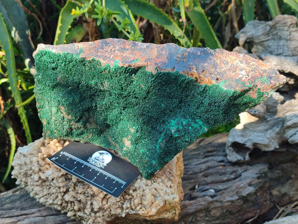 Natural Large Crystalline Botryoidal Malachite Specimen x 1 From Congo - Toprock Gemstones and Minerals 