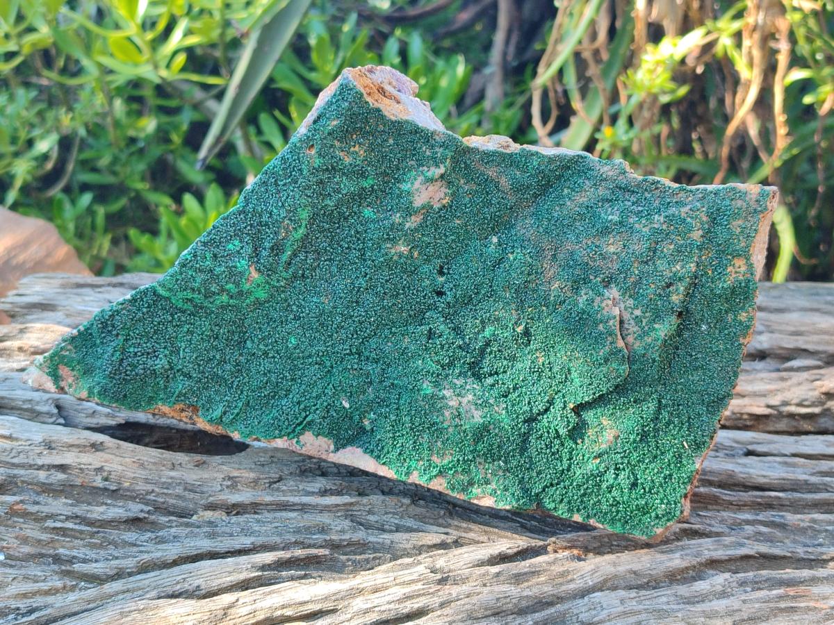 Natural Large Crystalline Botryoidal Malachite Specimen x 1 From Congo - Toprock Gemstones and Minerals 