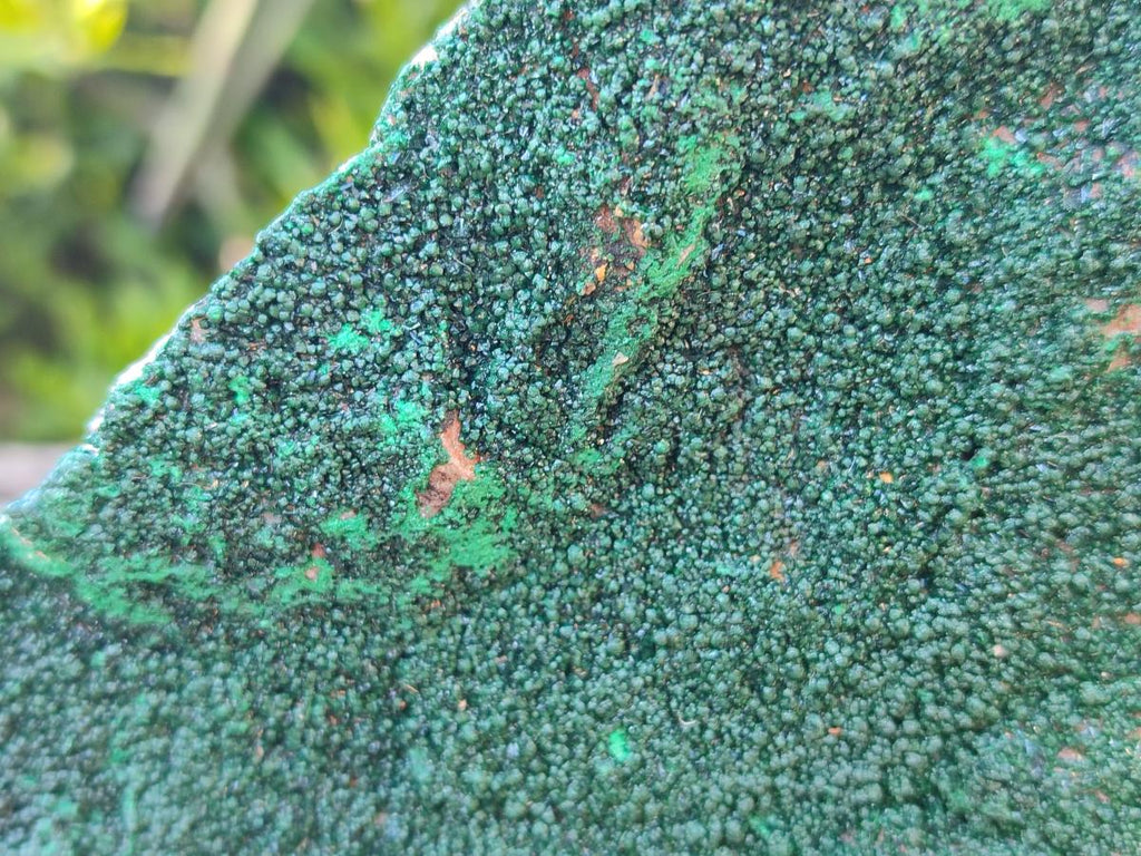 Natural Large Crystalline Botryoidal Malachite Specimen x 1 From Congo - Toprock Gemstones and Minerals 