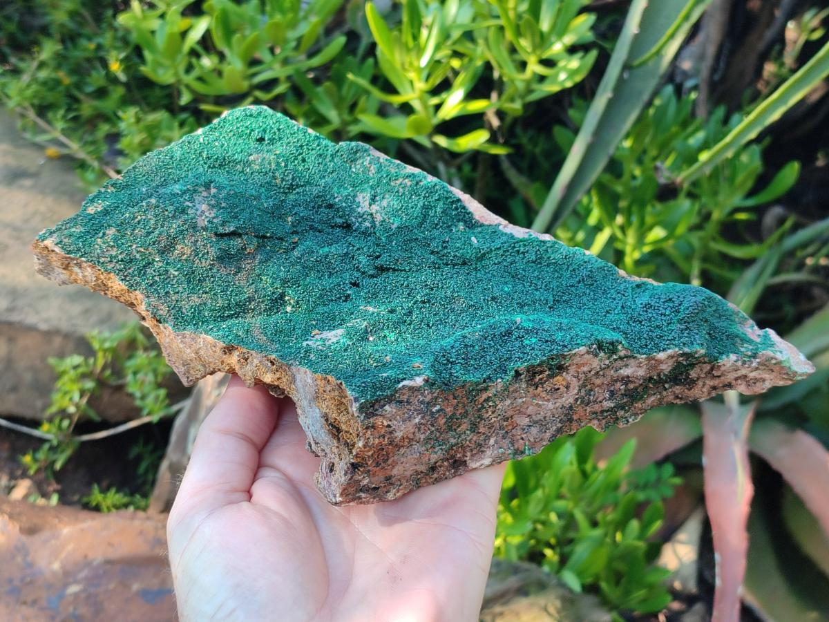 Natural Large Crystalline Botryoidal Malachite Specimen x 1 From Congo - Toprock Gemstones and Minerals 
