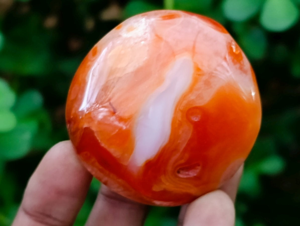 Polished Carnelian Agate Gemstone Galets x 24 From Madagascar - Toprock Gemstones and Minerals 