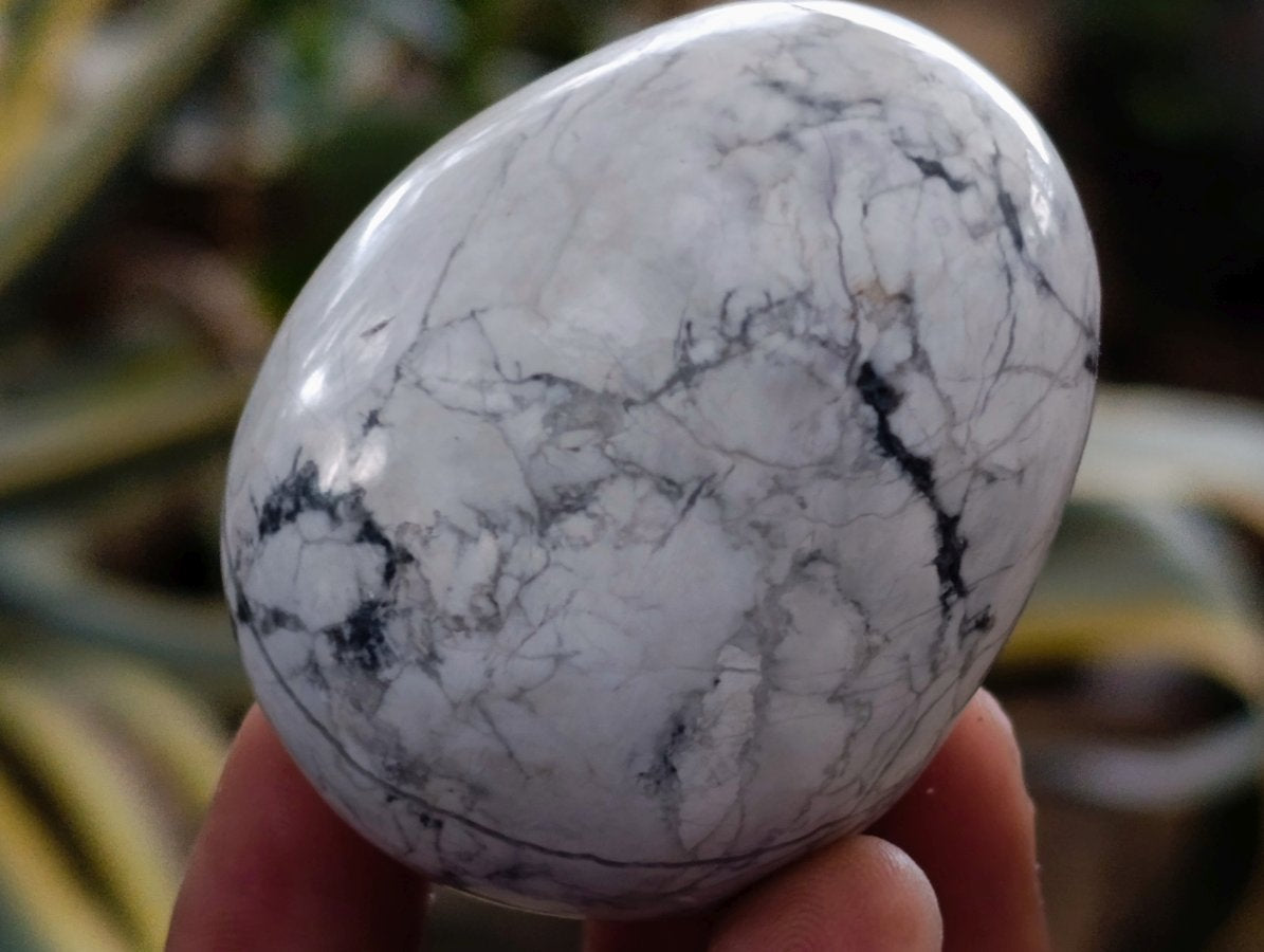 Polished Lightning Strike Howlite Eggs x 17 From Zimbabwe - Toprock Gemstones and Minerals 