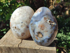 Polished Dendritic Agate Standing Free Forms x 2 From Moralambo, Madagascar - Toprock Gemstones and Minerals 