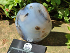 Polished Dendritic Agate Standing Free Forms x 2 From Moralambo, Madagascar - Toprock Gemstones and Minerals 