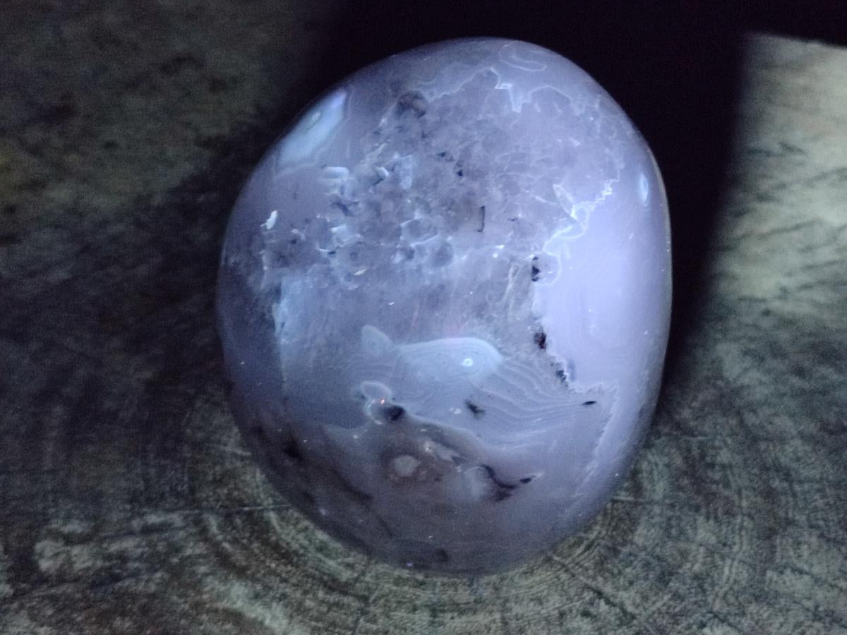 Polished Dendritic Agate Standing Free Forms x 2 From Moralambo, Madagascar - Toprock Gemstones and Minerals 