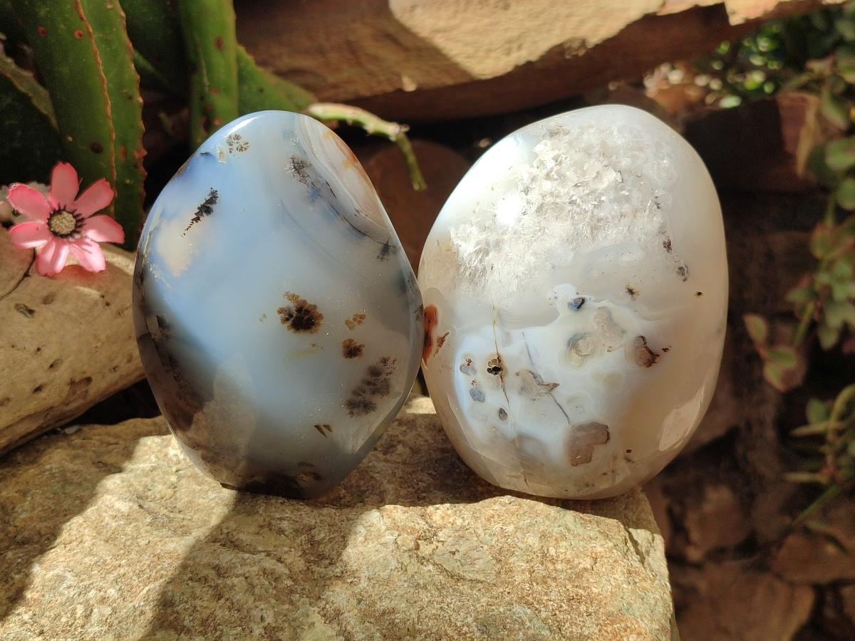 Polished Dendritic Agate Standing Free Forms x 2 From Moralambo, Madagascar - Toprock Gemstones and Minerals 