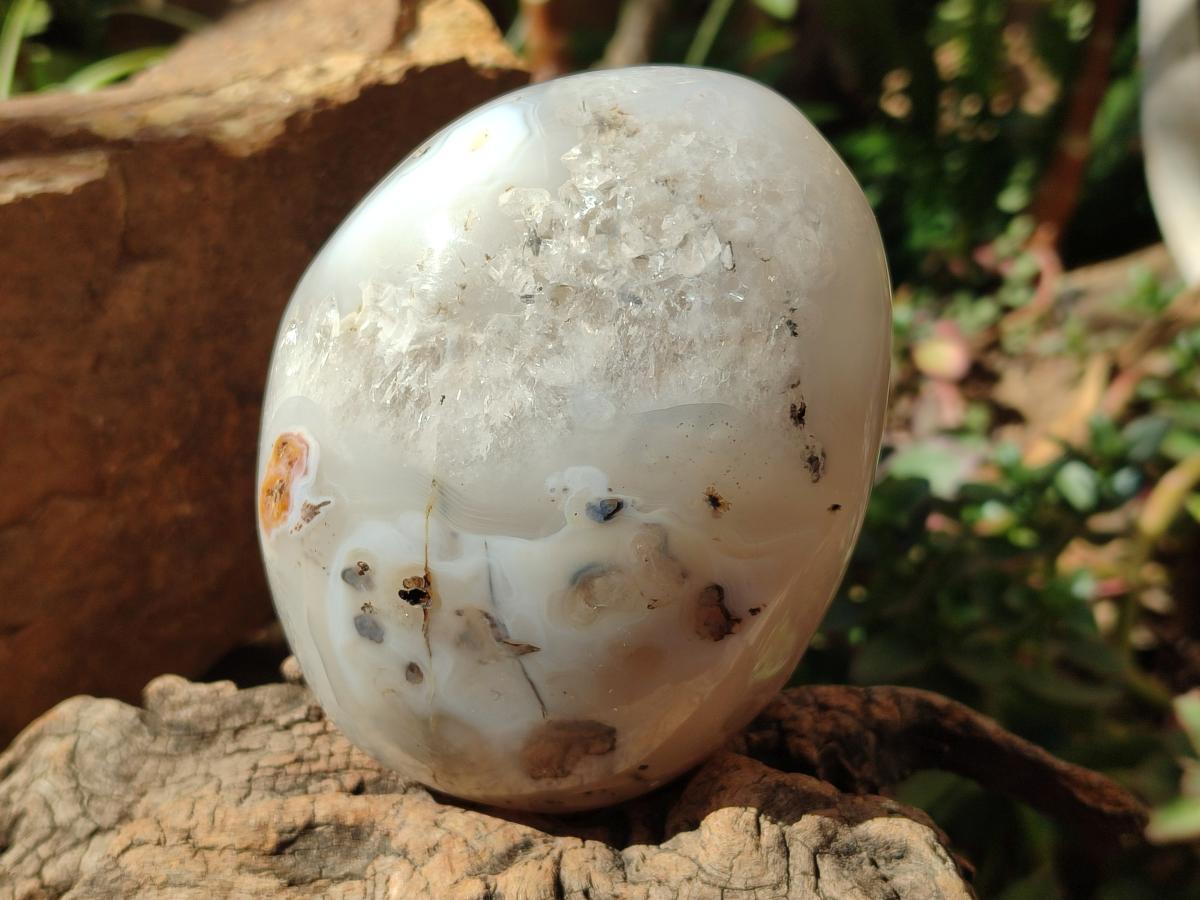 Polished Dendritic Agate Standing Free Forms x 2 From Moralambo, Madagascar - Toprock Gemstones and Minerals 