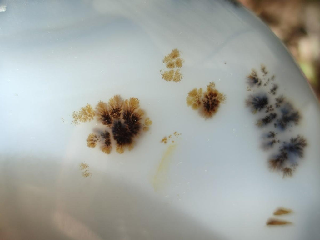 Polished Dendritic Agate Standing Free Forms x 2 From Moralambo, Madagascar - Toprock Gemstones and Minerals 