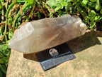 Natural XL Smokey Quartz Crystals with Hyalite Opal x 2 From Erongo, Namibia - Toprock Gemstones and Minerals 