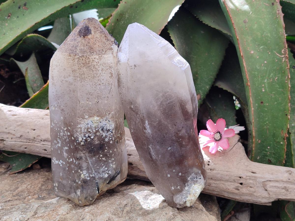 Natural XL Smokey Quartz Crystals with Hyalite Opal x 2 From Erongo, Namibia - Toprock Gemstones and Minerals 