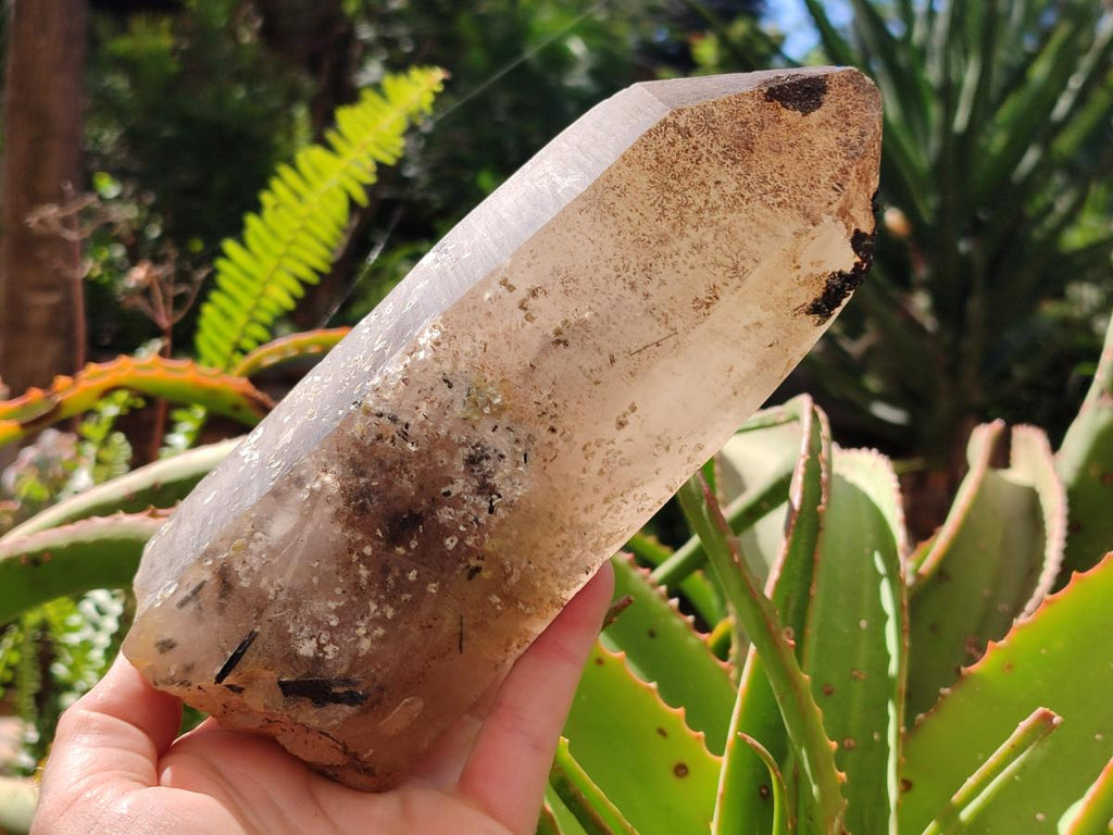 Natural XL Smokey Quartz Crystals with Hyalite Opal x 2 From Erongo, Namibia - Toprock Gemstones and Minerals 