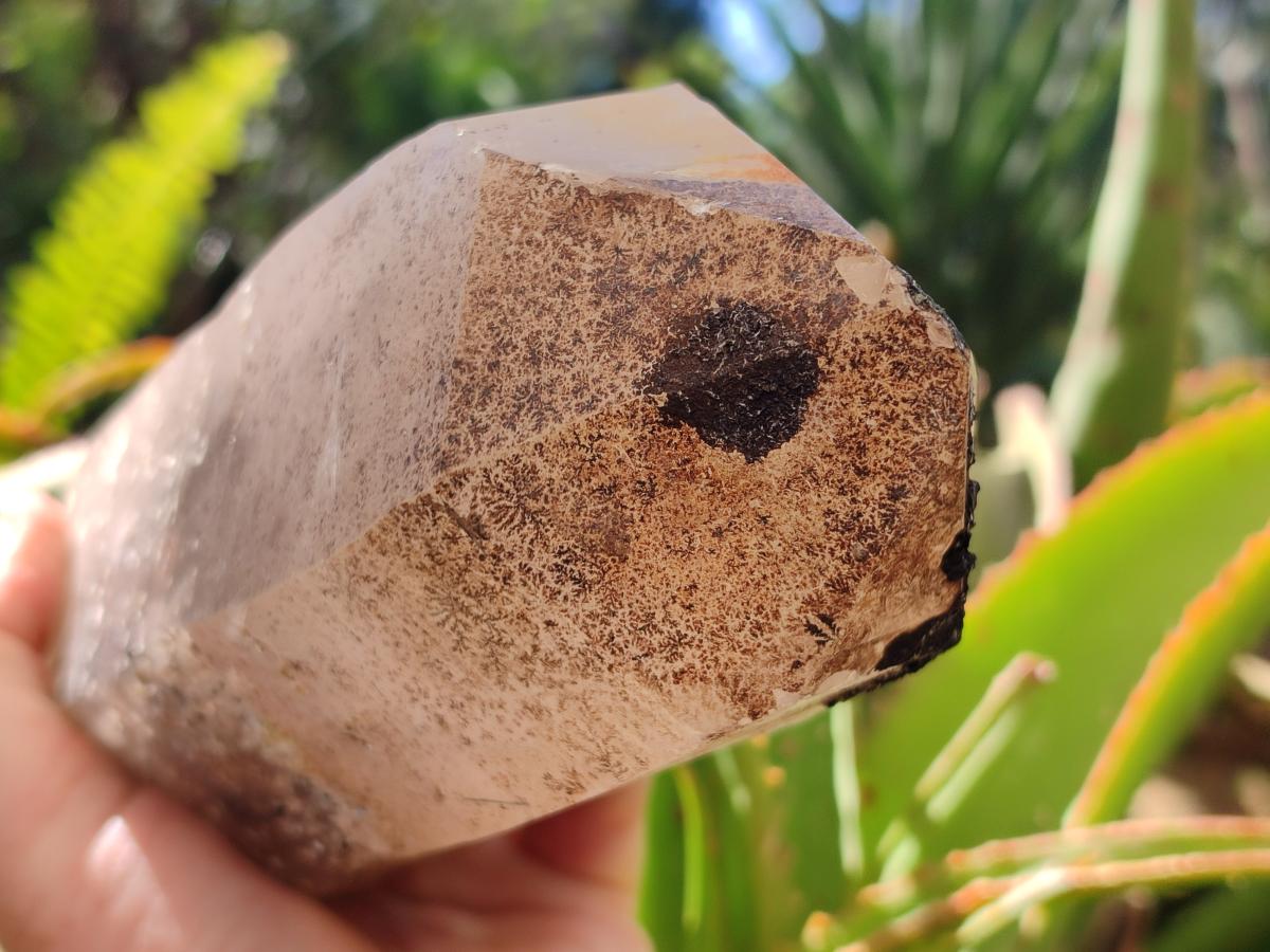 Natural XL Smokey Quartz Crystals with Hyalite Opal x 2 From Erongo, Namibia - Toprock Gemstones and Minerals 