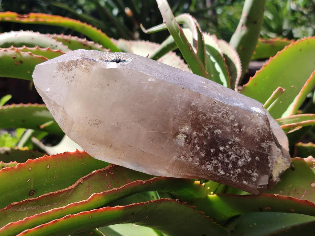 Natural XL Smokey Quartz Crystals with Hyalite Opal x 2 From Erongo, Namibia - Toprock Gemstones and Minerals 