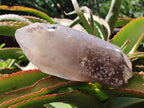 Natural XL Smokey Quartz Crystals with Hyalite Opal x 2 From Erongo, Namibia - Toprock Gemstones and Minerals 
