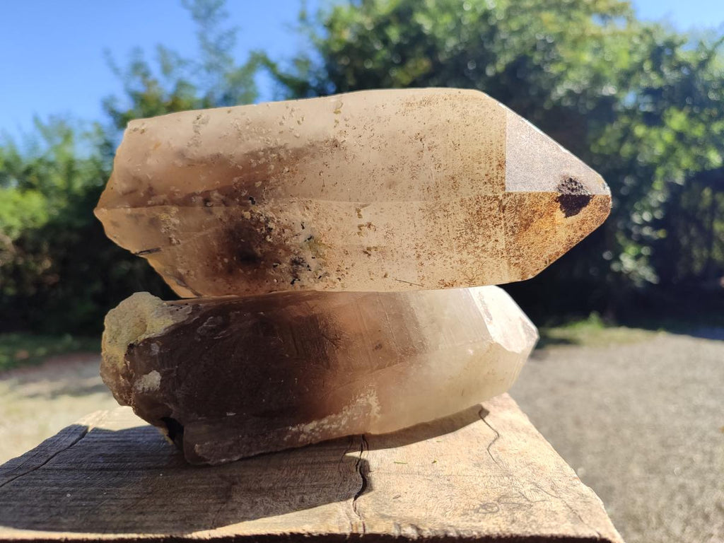 Natural XL Smokey Quartz Crystals with Hyalite Opal x 2 From Erongo, Namibia - Toprock Gemstones and Minerals 
