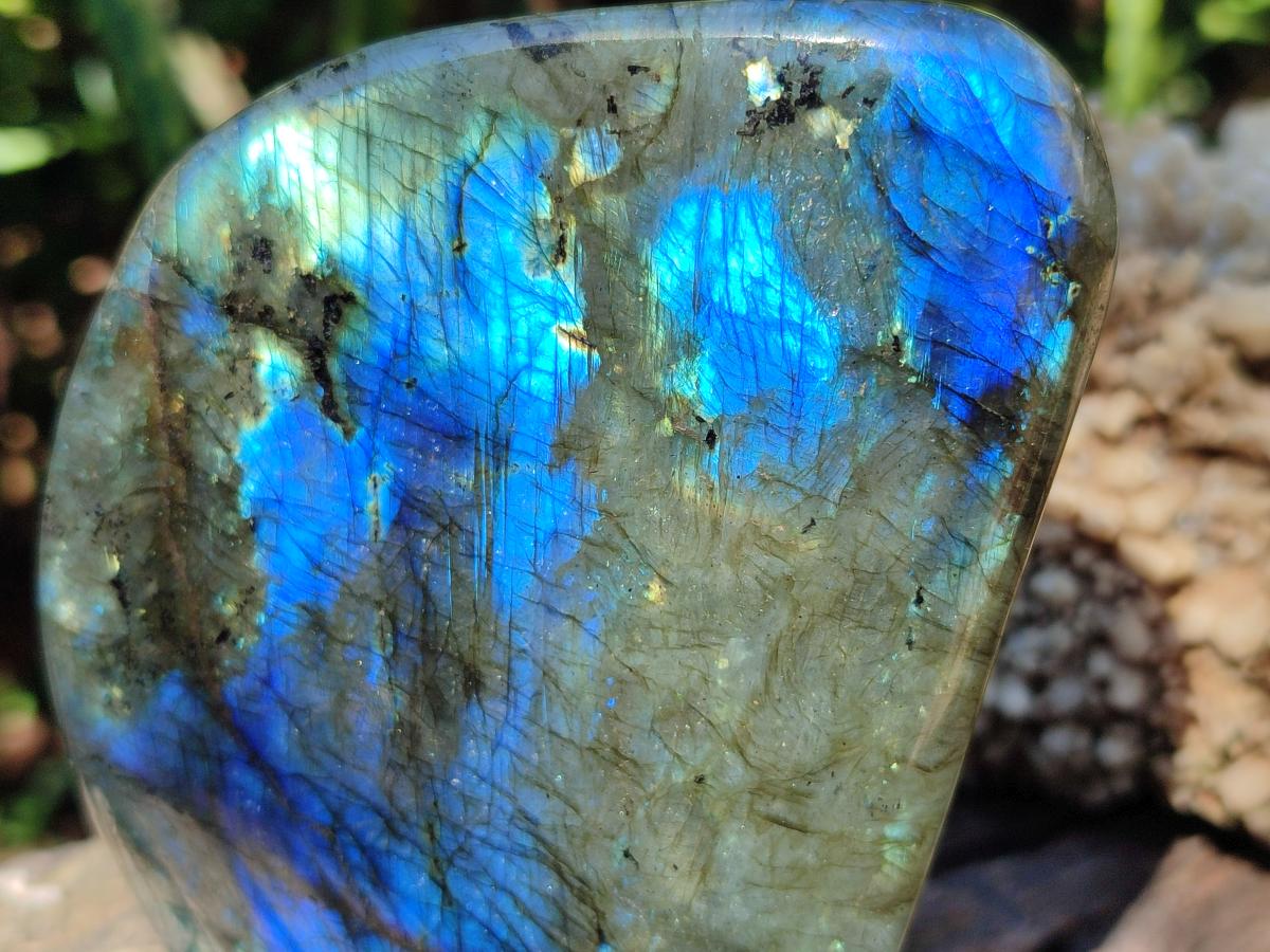 Polished Labradorite Standing Free Forms x 3 From Madagascar - Toprock Gemstones and Minerals 