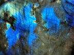 Polished Labradorite Standing Free Forms x 3 From Madagascar - Toprock Gemstones and Minerals 
