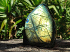 Polished Labradorite Standing Free Forms x 3 From Madagascar - Toprock Gemstones and Minerals 