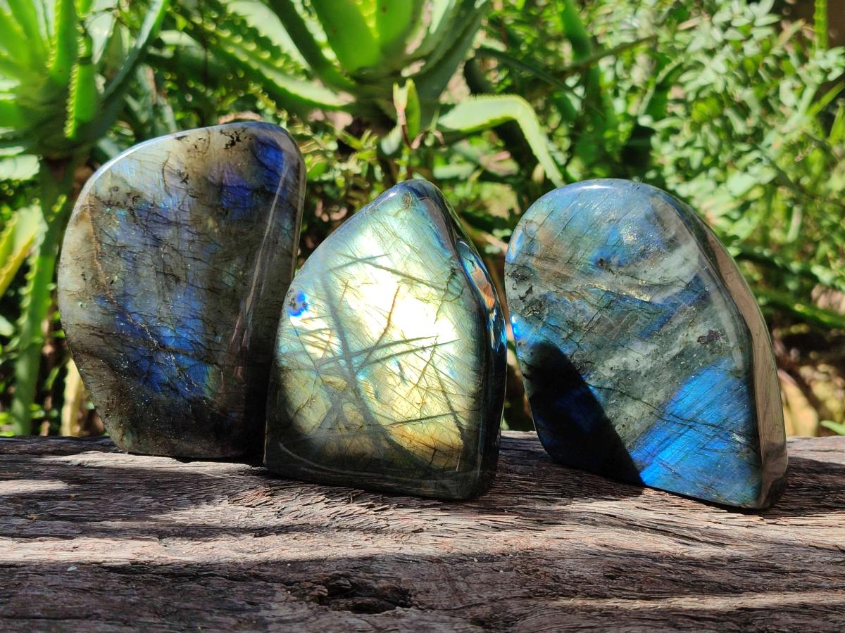 Polished Labradorite Standing Free Forms x 3 From Madagascar - Toprock Gemstones and Minerals 