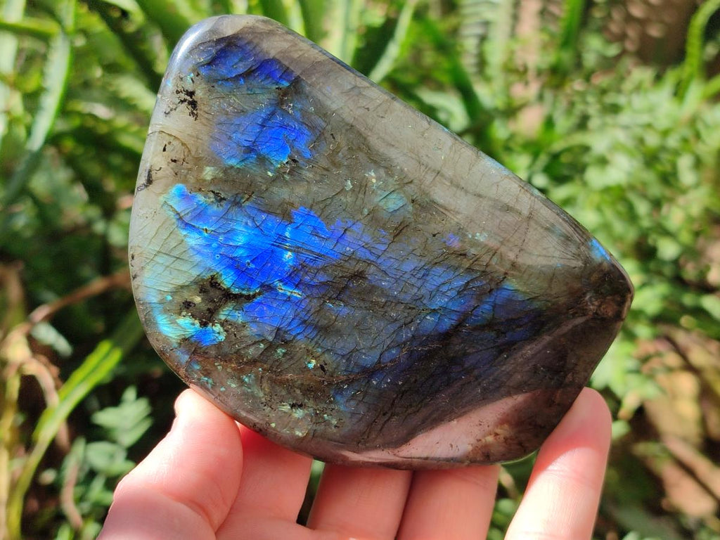 Polished Labradorite Standing Free Forms x 3 From Madagascar - Toprock Gemstones and Minerals 
