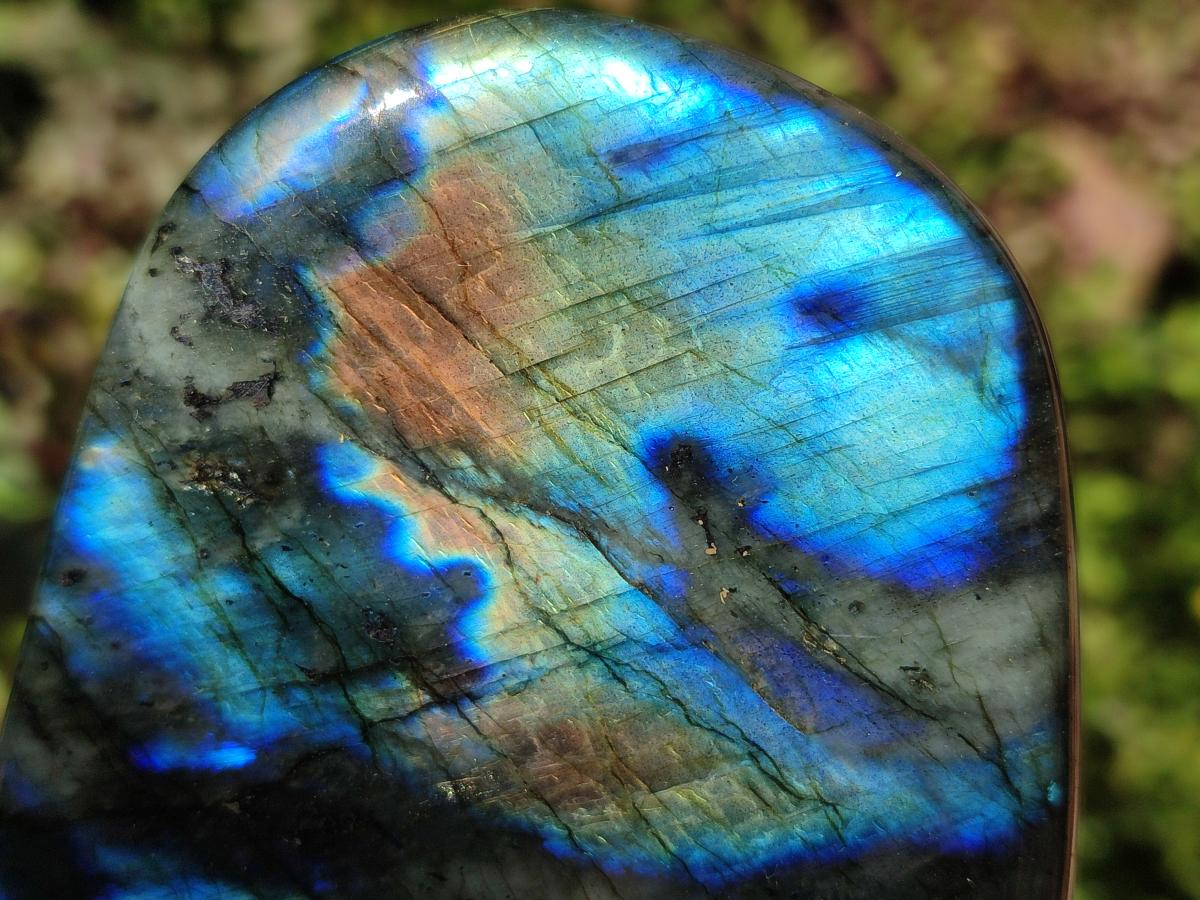 Polished Labradorite Standing Free Forms x 3 From Madagascar - Toprock Gemstones and Minerals 