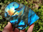 Polished Labradorite Standing Free Forms x 3 From Madagascar - Toprock Gemstones and Minerals 