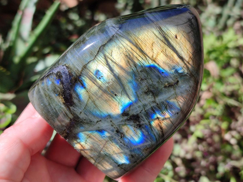 Polished Labradorite Standing Free Forms x 3 From Madagascar - Toprock Gemstones and Minerals 