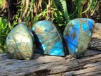 Polished Labradorite Standing Free Forms x 3 From Madagascar - Toprock Gemstones and Minerals 