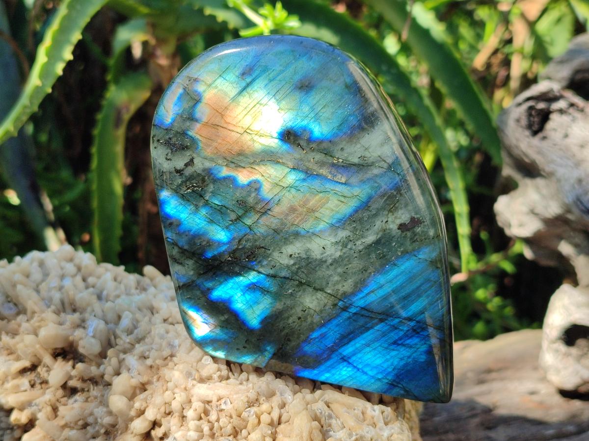 Polished Labradorite Standing Free Forms x 3 From Madagascar - Toprock Gemstones and Minerals 