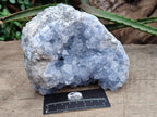 Natural Large Blue Celestite Geode Specimen x 1 From Sakoany, Madagascar - Toprock Gemstones and Minerals 