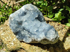 Natural Large Blue Celestite Geode Specimen x 1 From Sakoany, Madagascar - Toprock Gemstones and Minerals 