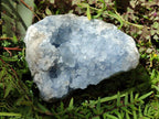 Natural Large Blue Celestite Geode Specimen x 1 From Sakoany, Madagascar - Toprock Gemstones and Minerals 