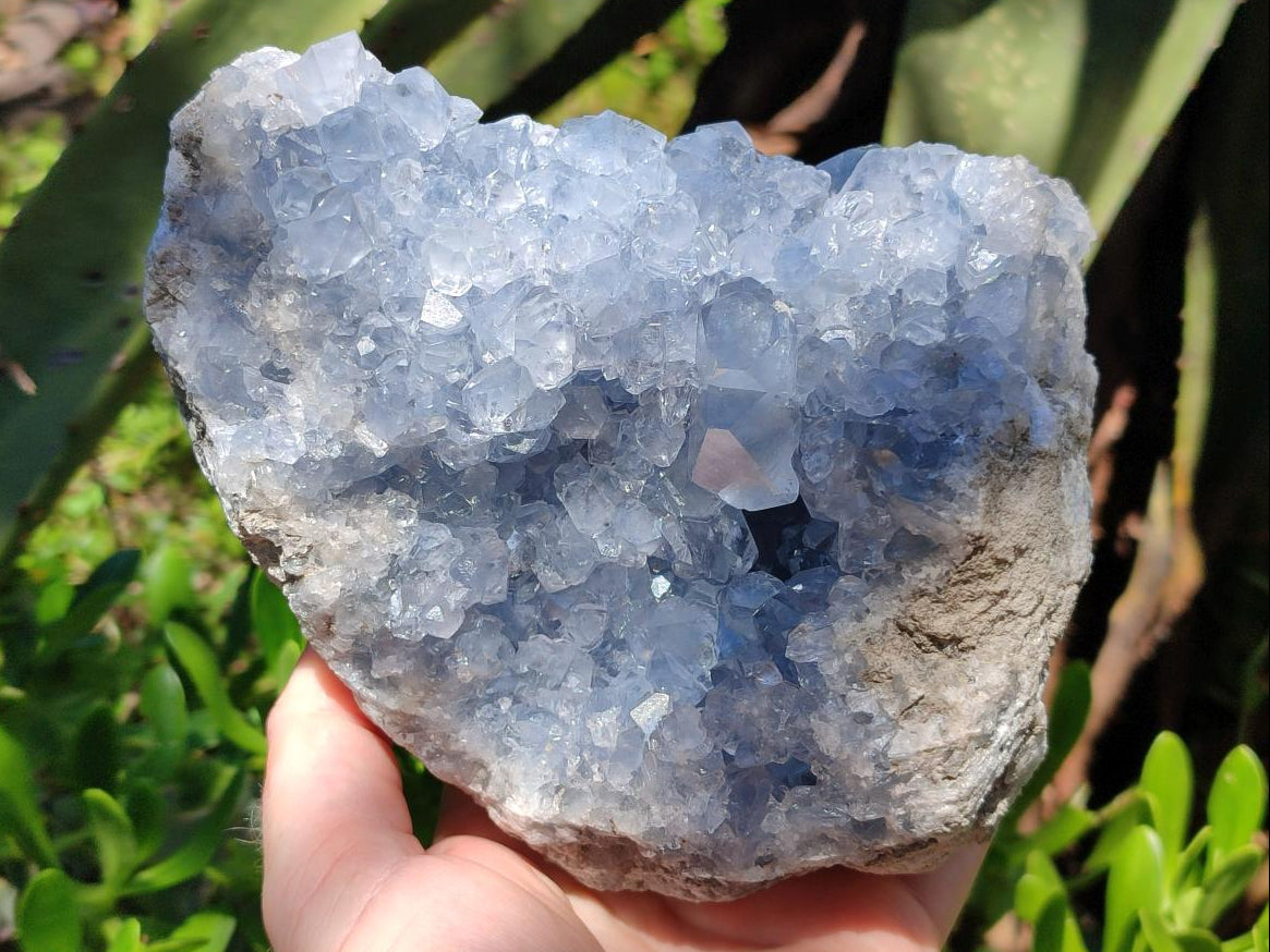 Natural Large Blue Celestite Geode Specimen x 1 From Sakoany, Madagascar - Toprock Gemstones and Minerals 