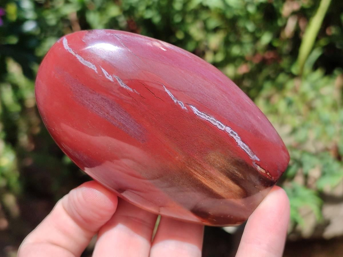 Polished Red Podocarpus Petrified Wood Standing Free Forms x 6 From Mahajanga, Madagascar - Toprock Gemstones and Minerals 