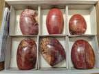 Polished Red Podocarpus Petrified Wood Standing Free Forms x 6 From Mahajanga, Madagascar - Toprock Gemstones and Minerals 