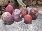 Polished Red Podocarpus Petrified Wood Standing Free Forms x 6 From Mahajanga, Madagascar - Toprock Gemstones and Minerals 