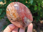 Polished Red Podocarpus Petrified Wood Standing Free Forms x 6 From Mahajanga, Madagascar - Toprock Gemstones and Minerals 