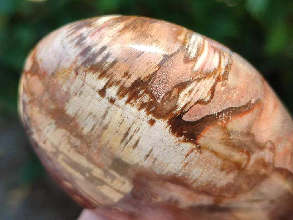 Polished Red Podocarpus Petrified Wood Standing Free Forms x 6 From Mahajanga, Madagascar - Toprock Gemstones and Minerals 