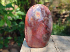 Polished Red Podocarpus Petrified Wood Standing Free Forms x 6 From Mahajanga, Madagascar - Toprock Gemstones and Minerals 