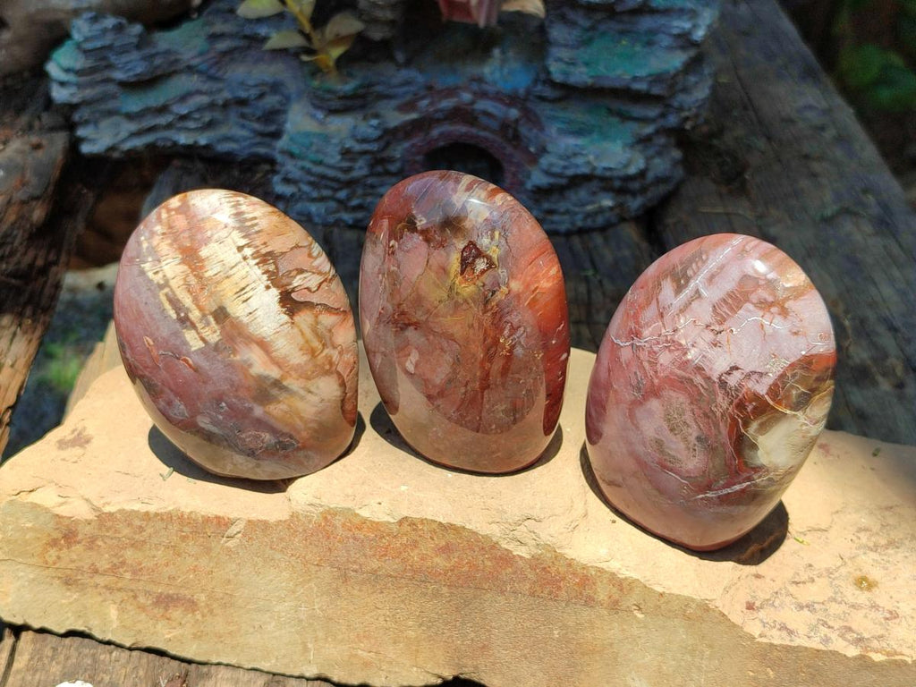 Polished Red Podocarpus Petrified Wood Standing Free Forms x 6 From Mahajanga, Madagascar - Toprock Gemstones and Minerals 