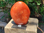Polished Large Orange Calcite Standing Free Form x 1 From Madagascar - Toprock Gemstones and Minerals 