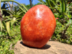 Polished Large Orange Calcite Standing Free Form x 1 From Madagascar - Toprock Gemstones and Minerals 