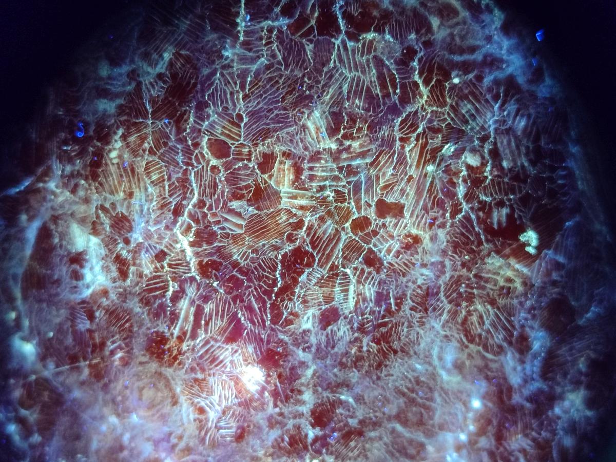 Polished Large Orange Calcite Standing Free Form x 1 From Madagascar - Toprock Gemstones and Minerals 