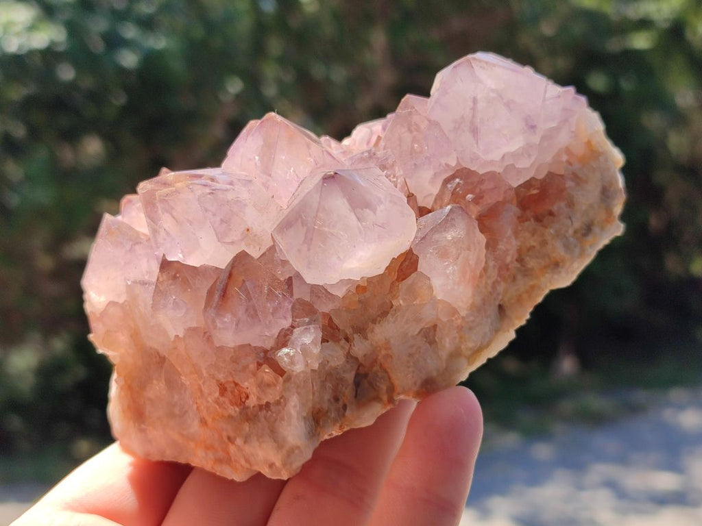 Natural Sunburst Amethyst Spirit Clusters x 2 From Boekenhouthoek, South Africa - Toprock Gemstones and Minerals 