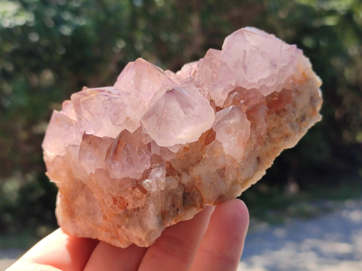 Natural Sunburst Amethyst Spirit Clusters x 2 From Boekenhouthoek, South Africa - Toprock Gemstones and Minerals 