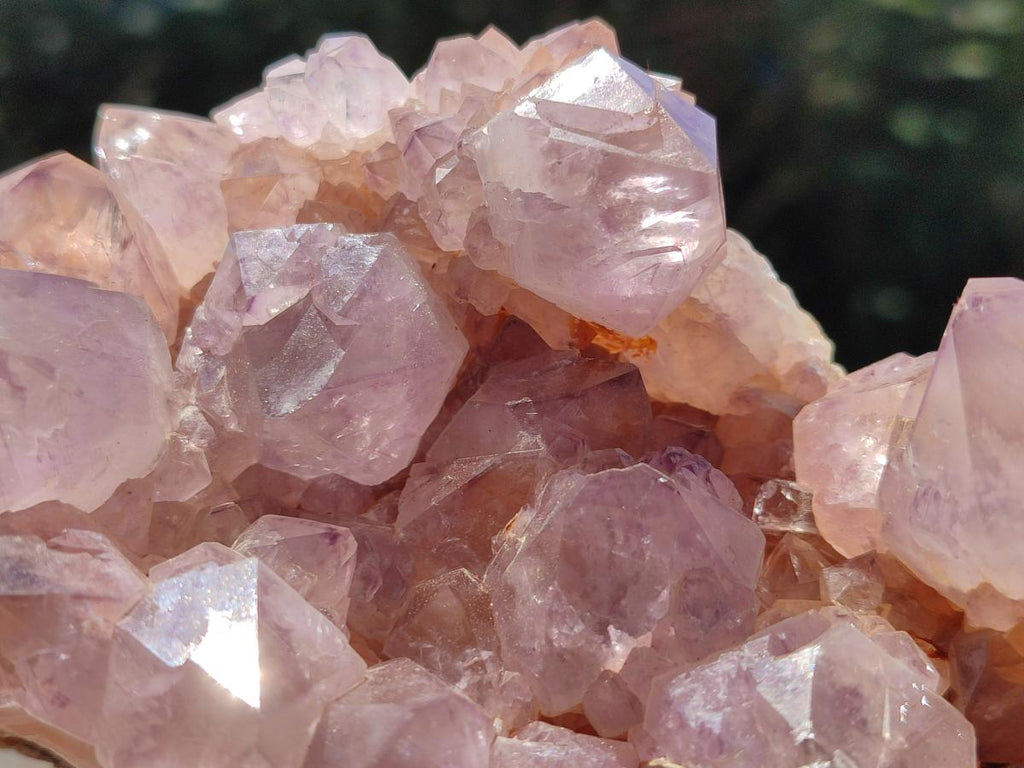 Natural Sunburst Amethyst Spirit Clusters x 2 From Boekenhouthoek, South Africa - Toprock Gemstones and Minerals 