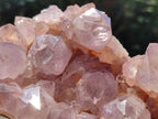 Natural Sunburst Amethyst Spirit Clusters x 2 From Boekenhouthoek, South Africa - Toprock Gemstones and Minerals 