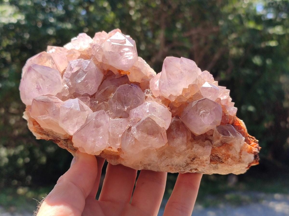 Natural Sunburst Amethyst Spirit Clusters x 2 From Boekenhouthoek, South Africa - Toprock Gemstones and Minerals 