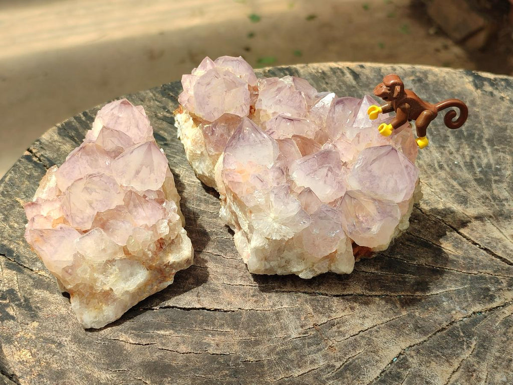 Natural Sunburst Amethyst Spirit Clusters x 2 From Boekenhouthoek, South Africa - Toprock Gemstones and Minerals 